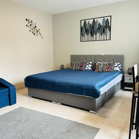 Lenastay I Modernes Apartment-Studio Kaiserslautern Eksteriør billede